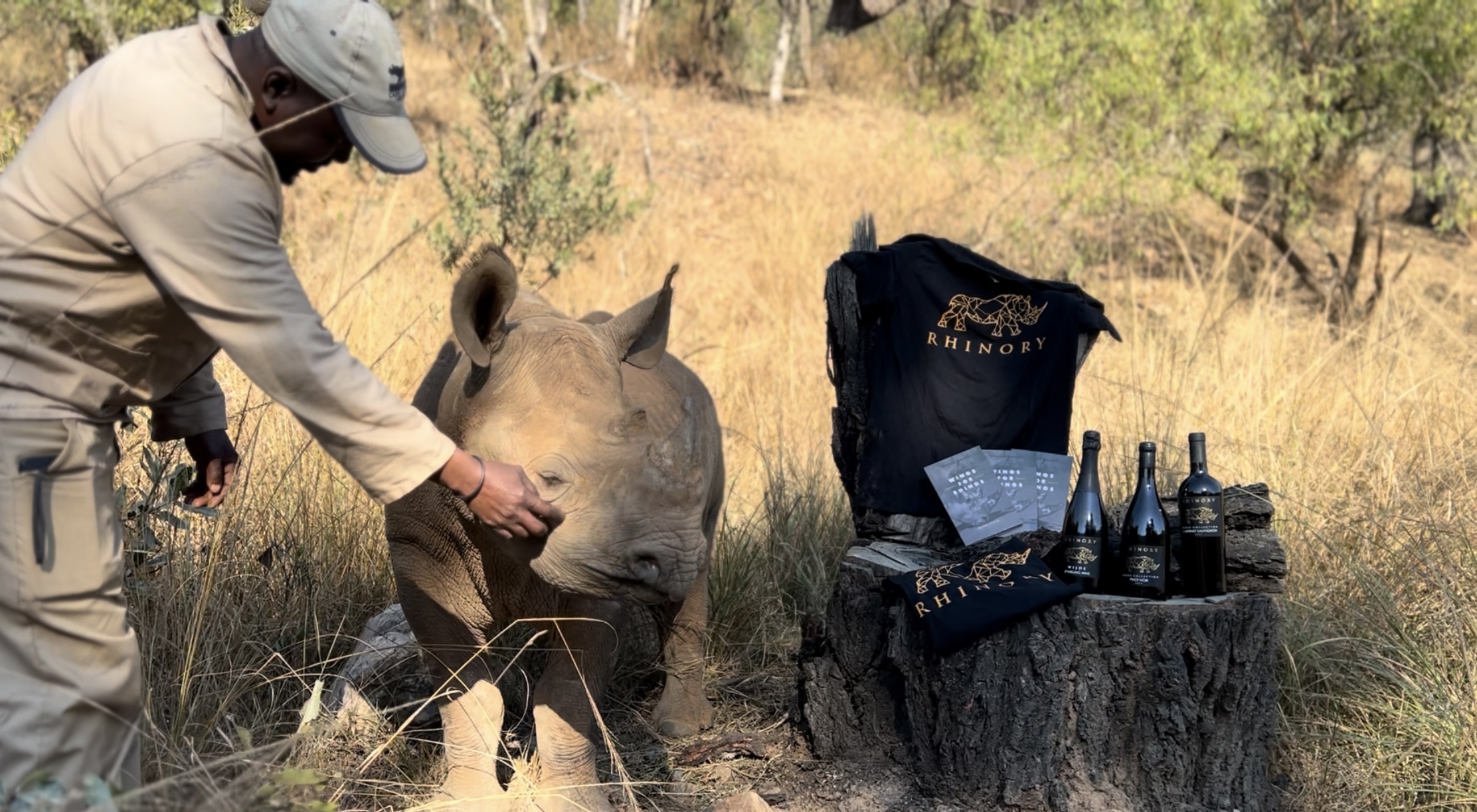 South Africa · Sanctuary